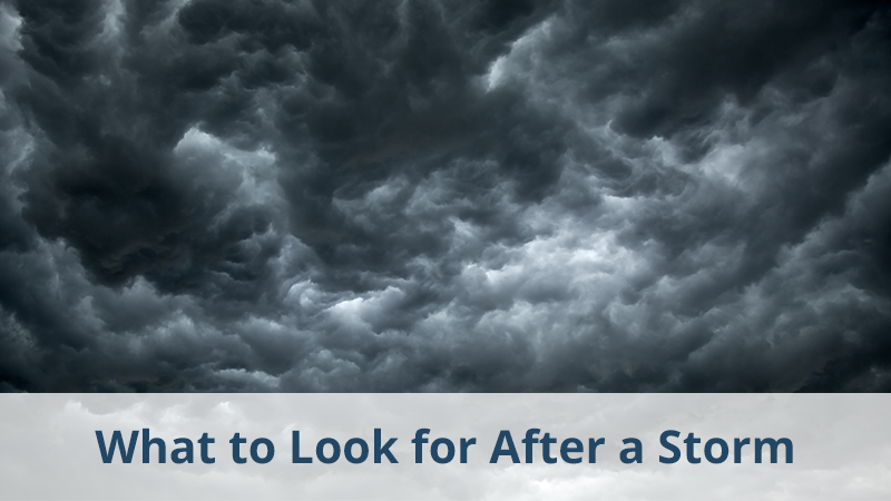 WHAT TO LOOK FOR AFTER A STORM