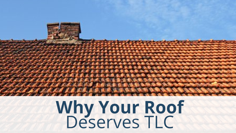 WHY YOUR ROOF DESERVES TLC