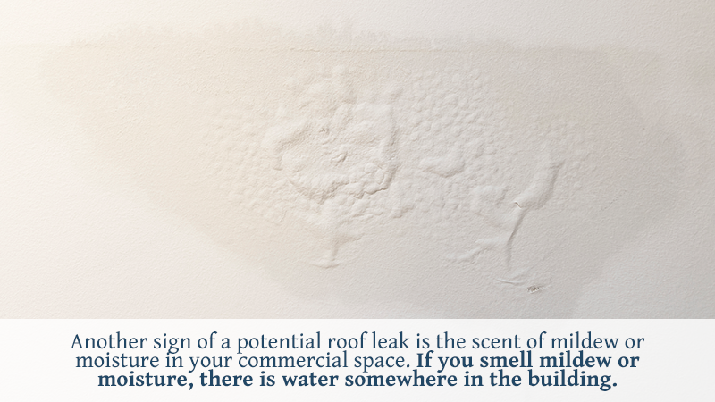 WARNING SIGNS OF A DAMAGED OR LEAKING COMMERCIAL ROOF