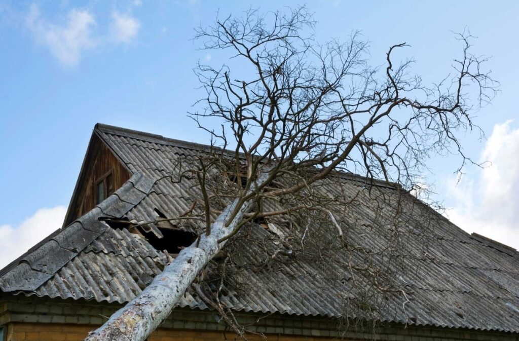 tree falls on roof in Avondale