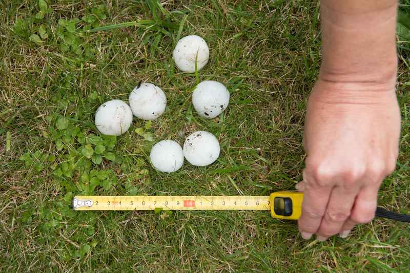 hail size roof damage, Brookhaven