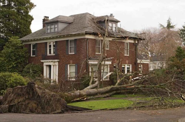 Trusted Storm Damage Repair in Morningside